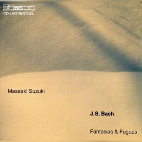 J. S. Bach: Fantasias & Fugues album cover