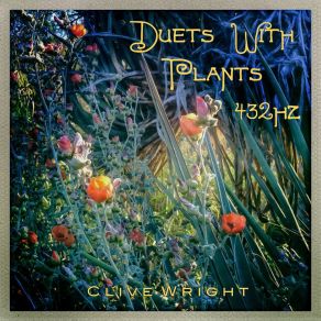 Duets With Plants album cover