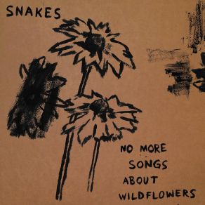 No More Songs About Wildflowers album cover