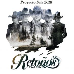 Proyecto Seis 2018 album cover