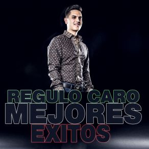 Mejores Exitos album cover