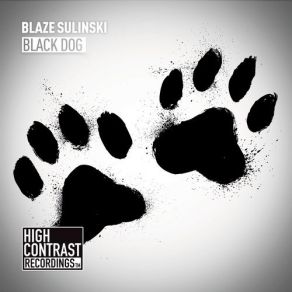 Black Dog (Single) album cover