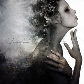 Seelenfresser album cover