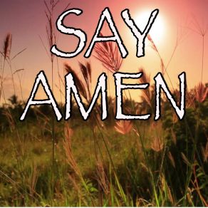 Say Amen (Saturday Night) - Tribute To Panic At The Disco album cover