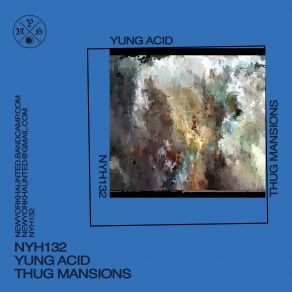 Thug Mansions album cover