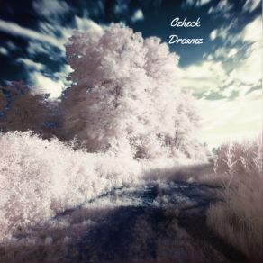 Dreamz album cover