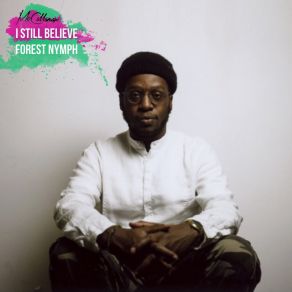 I Still Believe / Forest Nymph album cover