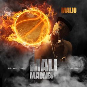 MaliMadness: The Carolina League album cover
