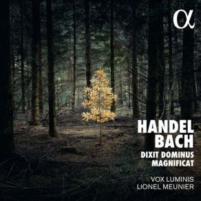 Bach - Magnificat | Handel - Dixit Dominus - Vox Luminis album cover