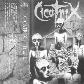 Kingdom Of Tire / Disable (Split) album cover