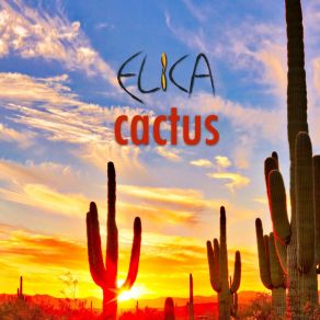 Cactus album cover