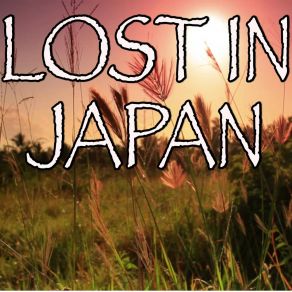 Lost In Japan - Tribute To Shawn Mendes album cover