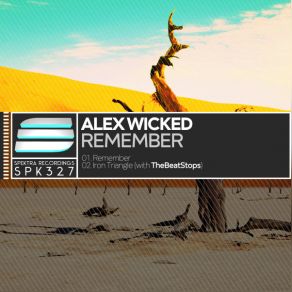 Remember album cover