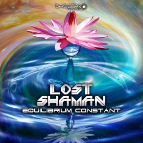 Equilibrium Constant album cover