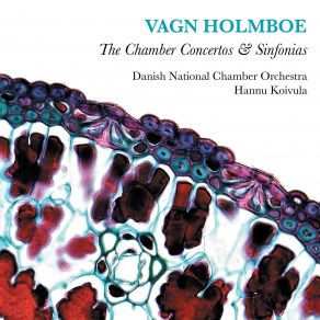 Holmboe: The Chamber Concertos & Sinfonias (CD2) album cover