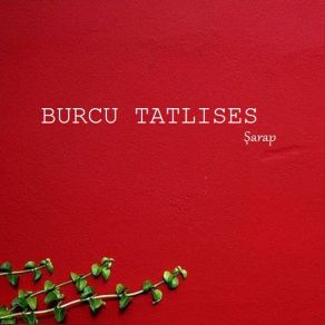 Güzel Kokuyorum album cover
