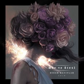 Diğer Kayıtlar album cover