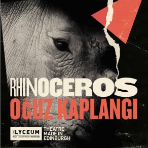 Rhinoceros album cover