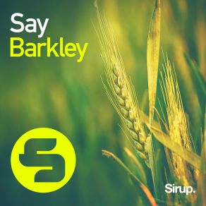 Say (Maxi-Single) album cover