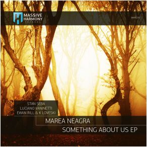 Something About Us album cover