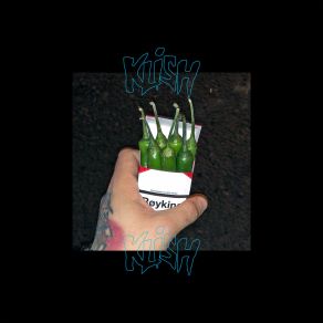 20 Pakke / Kanke Temmes album cover