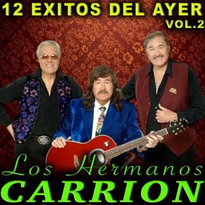 12 Exitos Del Ayer Vol. 2 album cover