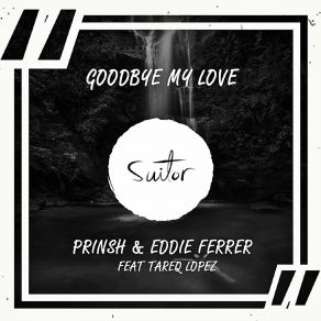 Goodbye My Love (Original Mix) (Single) album cover