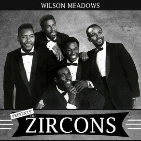 Presents The Zircons album cover