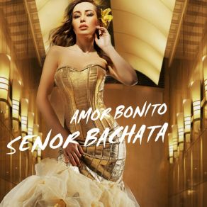 Amor Bonito album cover