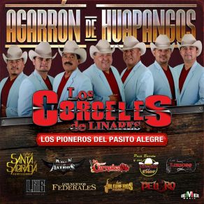 Agarrón De Huapangos album cover