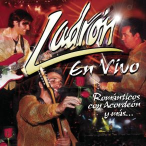 Románticos Con Acordeón Y Más (En Vivo) album cover