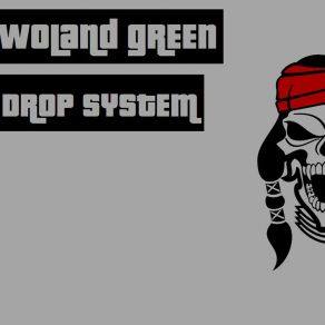 Drop System album cover
