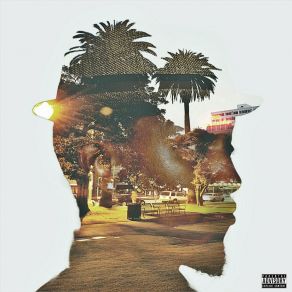 Art Of Flight album cover