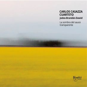 La Sombra Del Sauce Transparente album cover