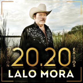 Visión 20.20 Éxitos album cover