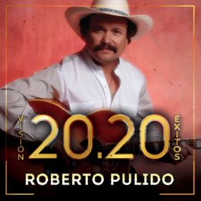 Visión 20.20 Éxitos album cover