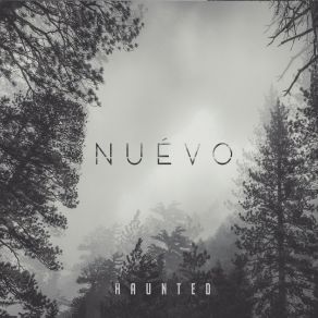 Haunted album cover