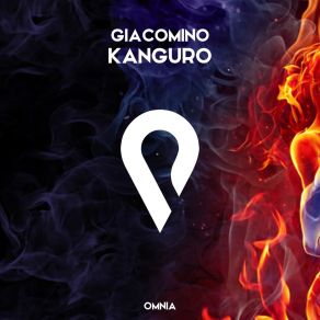 Kanguro album cover
