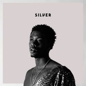 Silver album cover