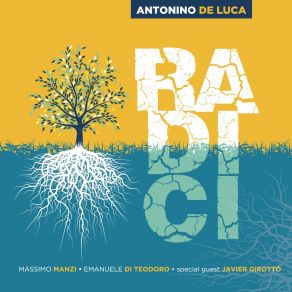 Radici album cover