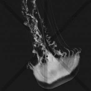 Dry Heat \\ Whatever Helps You Sle album cover