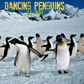 Dancing Penguins album cover
