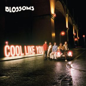 Cool Like You (Deluxe Edition) album cover