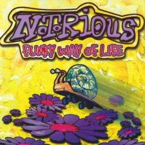 Funky Way Of Life album cover