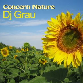 Concern Nature (Original Mix) album cover