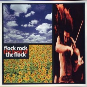 Flock Rock: Best Of The Flock album cover