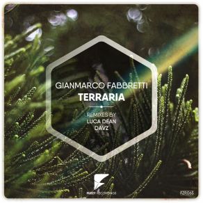 Terraria (Maxi-Single) album cover