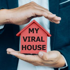 My Viral House album cover