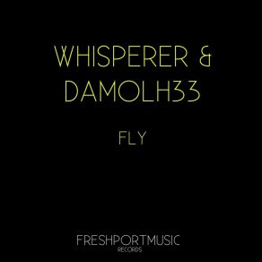 Fly album cover