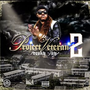 Project Veteran 2 album cover